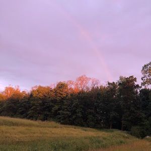 Meet your Posher, Beverly